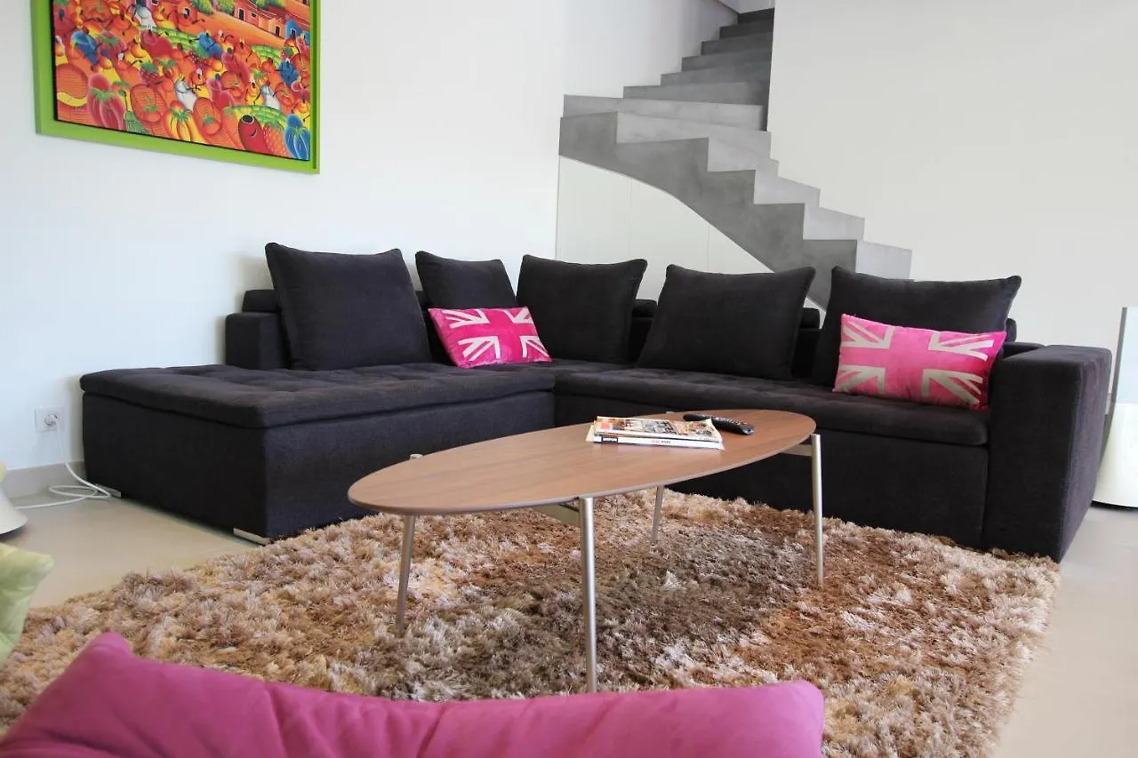 Superbe Maison De Ville Cannes Francie