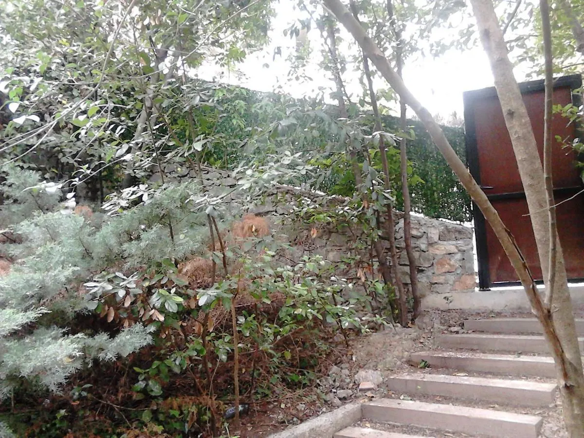 Superbe Maison De Ville Cannes Francie